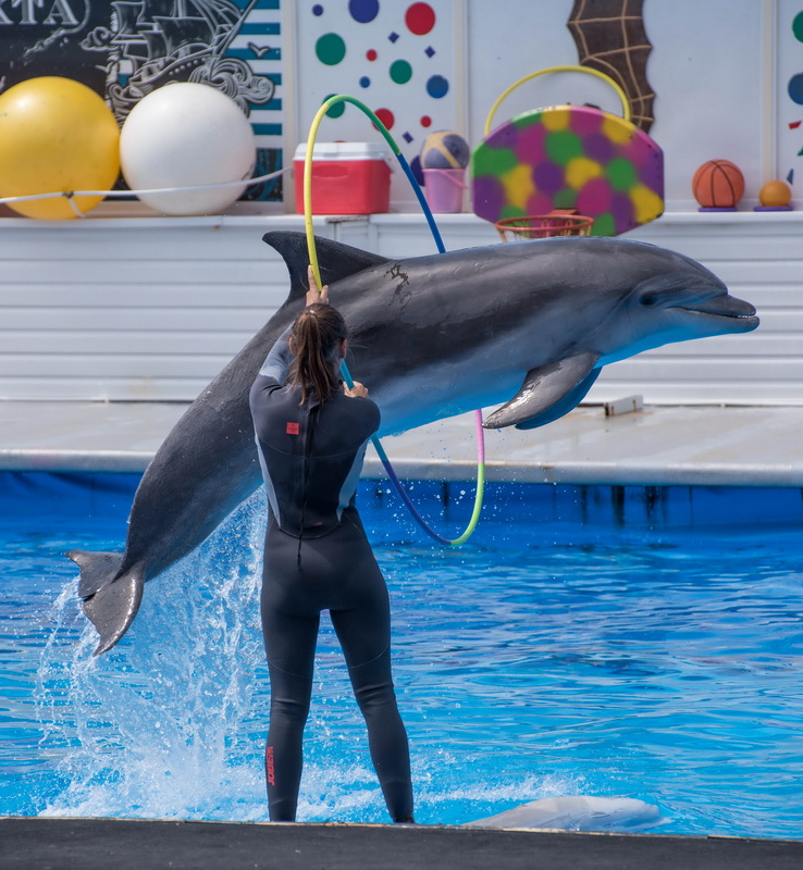 2019_LetnSmena_113 2019_LetnSmena_113