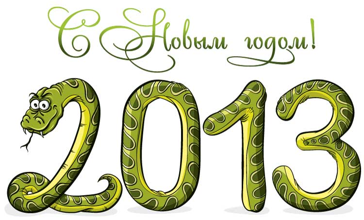 Новый год 2013
