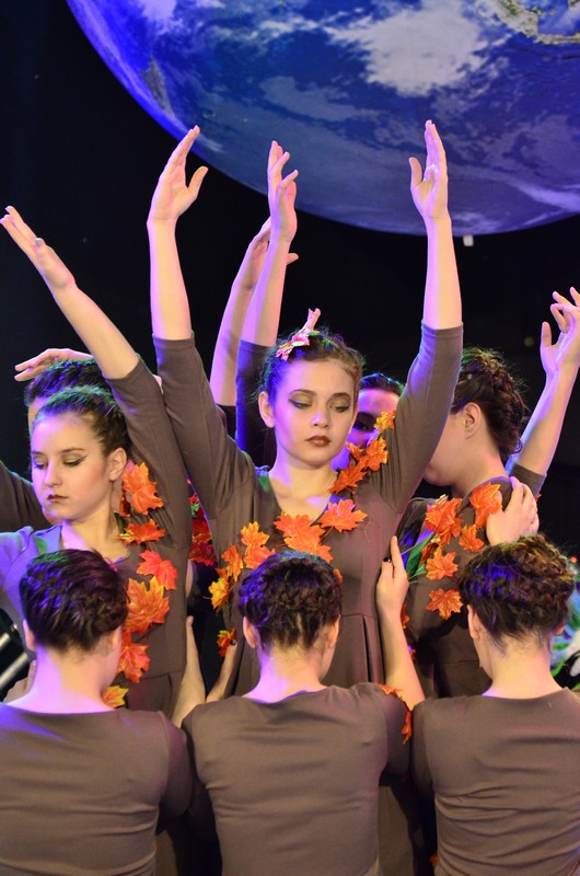 NK2015_232 NK2015_232